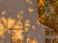 구원[고죠유지]