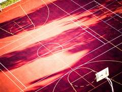 사네카나 썰 백업 11