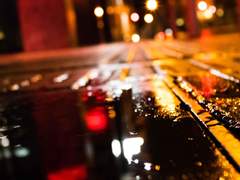 사네카나 썰 백업 12