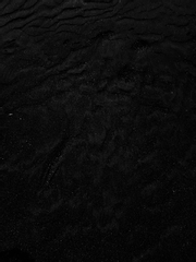 회지 유료 발행