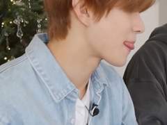 주의 : 개를 조심하세요