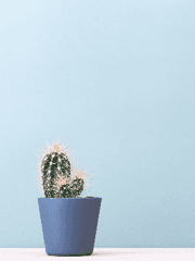 [Vol.5] 2021 여름호