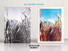 483 여름 저편에