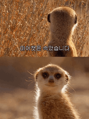 좀비들의 욜루세상