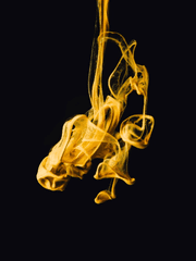 은혼 히이로 하츠