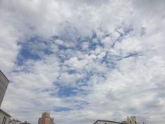 비온뒤 하늘사진