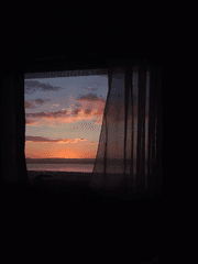 반짝이는 새벽 | 미스터리 수사반 일상