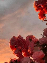 그럭저럭 후회없이