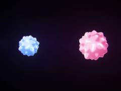 사토시오 [해피슈가라이프]