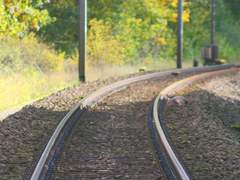 열대우림으로 간다