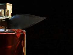 시네리아 27 XX 모네타