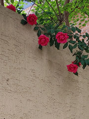 망설임에도 아쉬움은 있는 거겠죠.