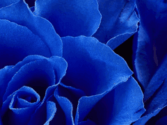 거기, 돈 좀 있어?