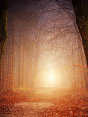 다시 쓰는 동화집