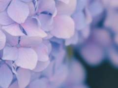 Selina ✧ 29 ✧ XX ✧ 솔리스