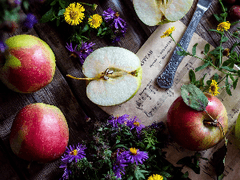 To. 친애하는 유령, 이치에게