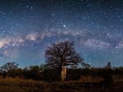 호크토가/ 자유로운 하늘.
