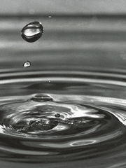 파라: 창조의 복수