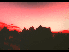 지쉐이드 시로가네 필터