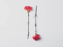 쉬어가기로 했습니다 20