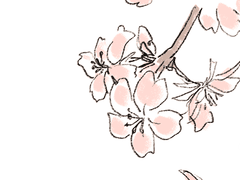 여름청게(4) (+jpn 번역: 언덕님)