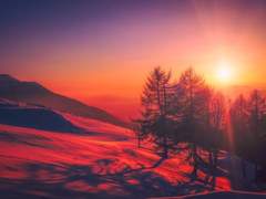 그날은 무척이나 무덥고, 붉던 여름이었다¿