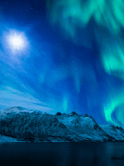 글로리 오브 글루미 데이라이트