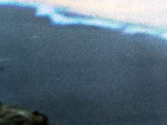 추억은 간직한 채,