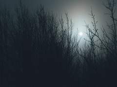 신을 받드는 존재는 오직 인간 뿐이니.