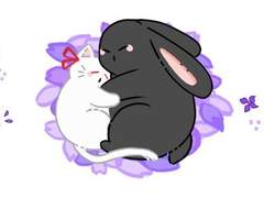 렌페 해시 모음