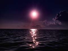 너는 언제고 내 곁에 있을 것처럼 말해놓고,