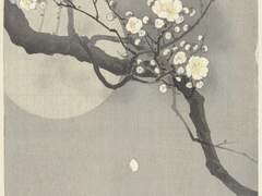 나를 사랑하지 않는 그대에게