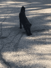 계획없이 그러지마