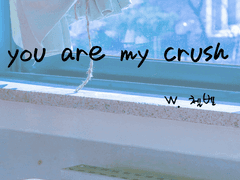 You are my crush
