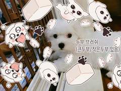 [클립스튜디오] 두부 브러쉬 (큰두부/작은두부)