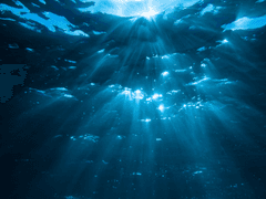 [스파바요] 쪽빛 너울