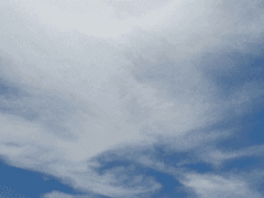 [국민전력11회차] 시간을 멈추고 천국을 데려와... 下