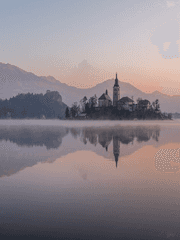 캐롤라인 R. 벨망