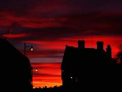 🥀 그 붉음의 몰락은, 더없이 아름다워라.