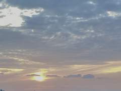 그렇게 은은하게 옅어지고 싶었거든