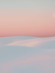 백합엽편시리즈 (기존작들 : ~110번까지)