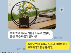 최유기 │ 최유기톡 4