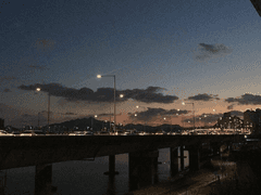 포트마피아 여기로,