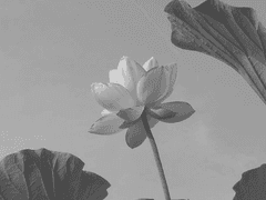 마치 보물과도 같은