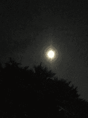 Je ne vais pas lâcher