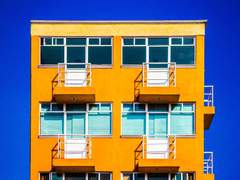 개새끼의 연애 下