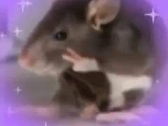 하이큐 드림 카카오톡 카피페 2