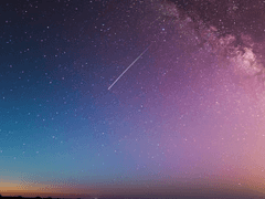 팅커벨 이펙트 (Tinkerbell Effect): 12화 (최종화)