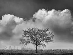 #추새커 프로필