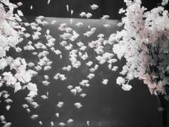 도도의첫맫캠글연성